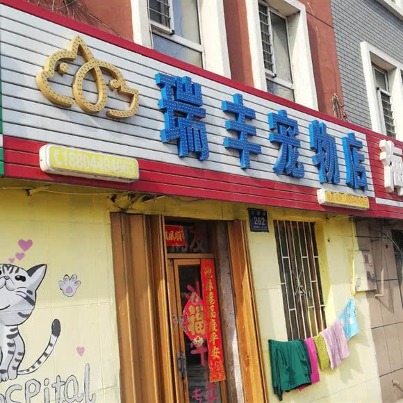 瑞丰宠物店:白山市浑江区儿童公园附近