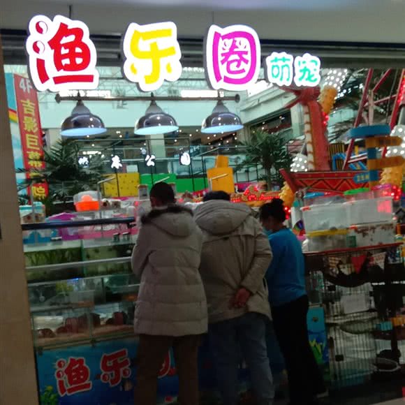 渔乐圈萌宠:白山市浑江区老市政府附近