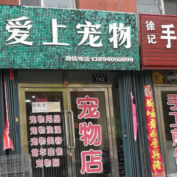 爱上宠物:白山市浑江区白山站附近