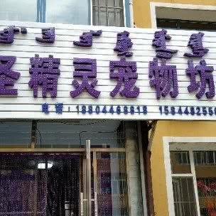 圣精灵宠物坊:松原市宁江区胜利路附近