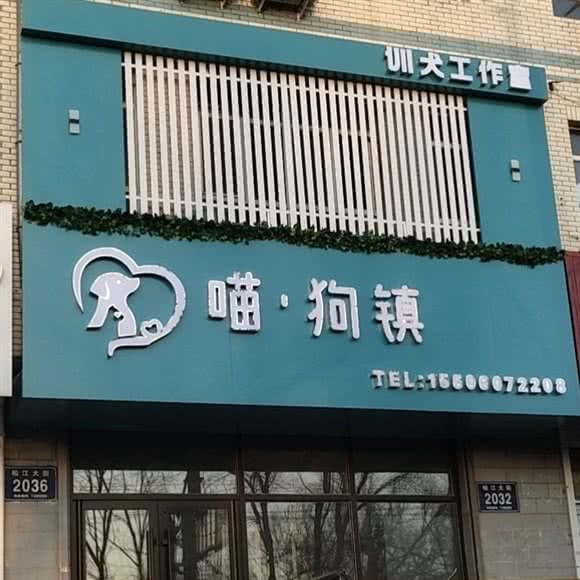 喵?狗镇:松原市宁江区欧亚商圈附近