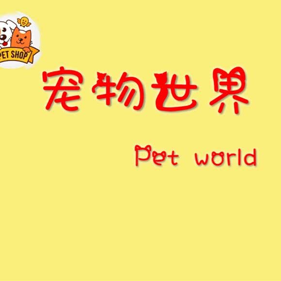 宠物世界:松原市宁江区欧亚商圈附近