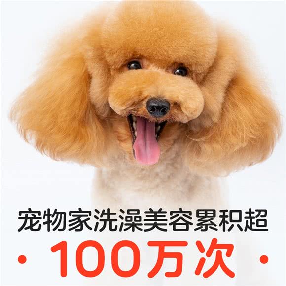 宠物家(西豪逸景店):北京城区西城区广外大街附近