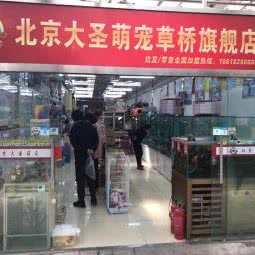 北京大圣萌宠:北京城区丰台区草桥/公益西桥附近