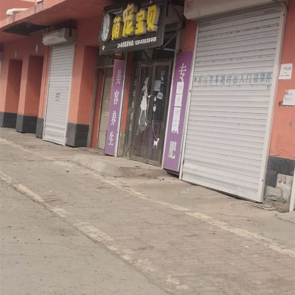 萌宠宝贝:松原市宁江区金钻商圈附近