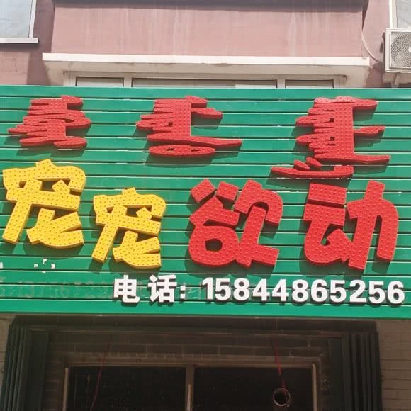 宠宠欲动:松原市宁江区时代广场附近