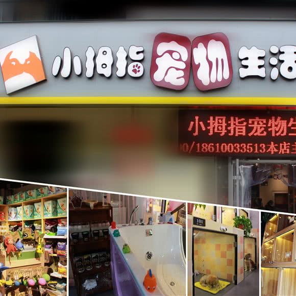 小拇指宠物生活馆(丰台草桥店):北京城区丰台区草桥/公益西桥附近
