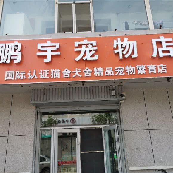 鹏宇宠物店:白城市洮北区大象附近