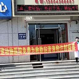 爱宠动物医院:白城市洮北区大象附近