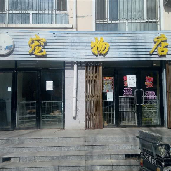 阿猫阿狗宠物店:白城市洮北区市民广场附近
