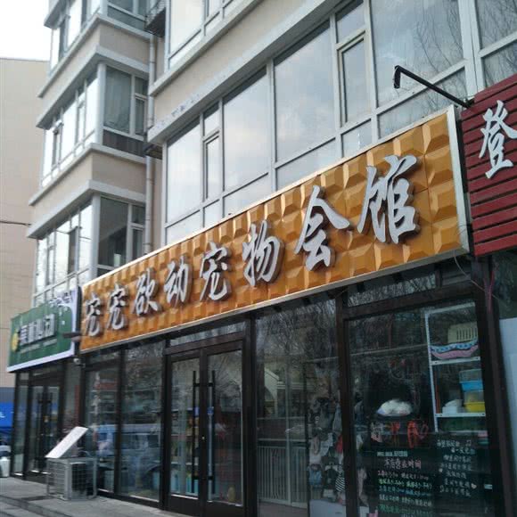 宠宠欲动宠物会馆:白城市洮北区市民广场附近