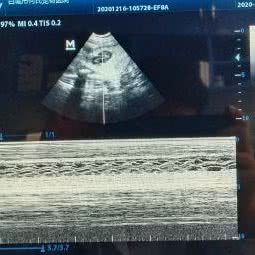 何氏宠物医院(经开区分院):白城市洮北区开发区附近
