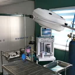 我的宝贝宠物医院(白城分店):白城市洮北区火车站附近