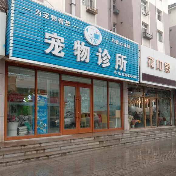 宠物诊所:白城市洮北区步行街/连城商街附近