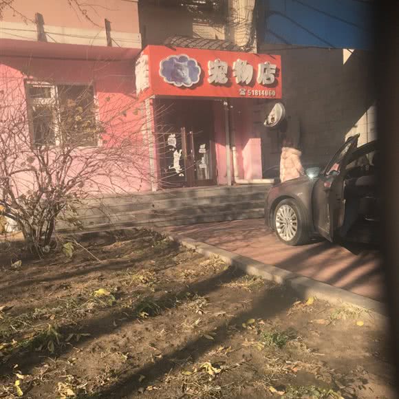 宠乐汇宠物店:哈尔滨市道里区中央大街索菲亚广场附近