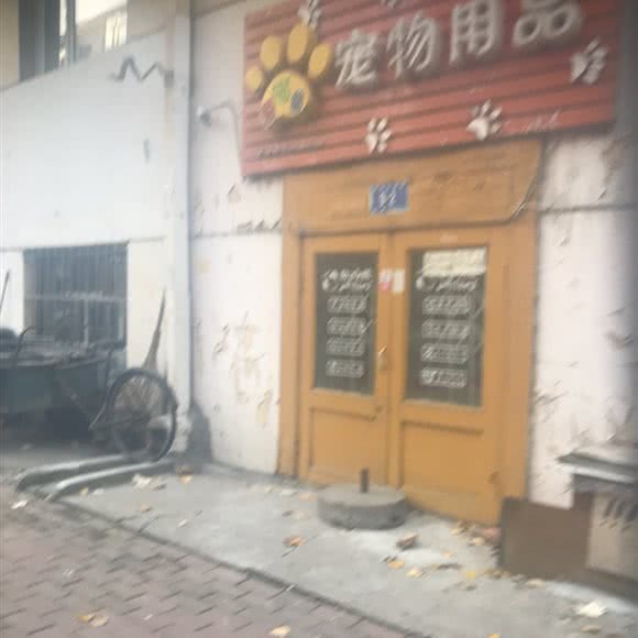 爱喵酱宠物用品:哈尔滨市道里区中央大街索菲亚广场附近