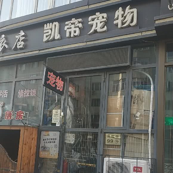 凯帝宠物:哈尔滨市道里区新阳路附近