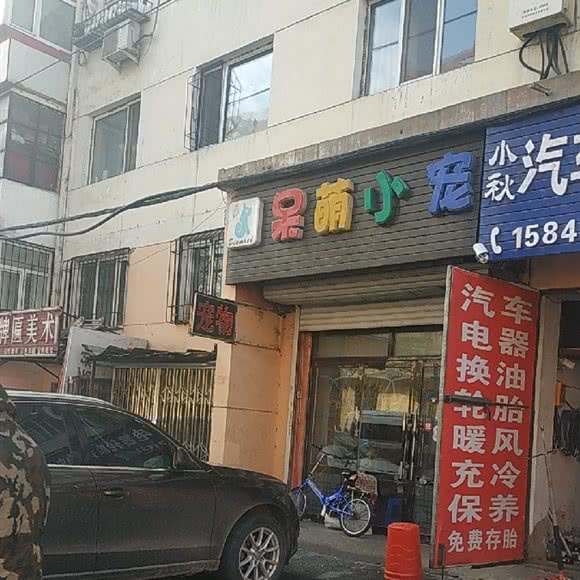 呆萌小宠:哈尔滨市道里区新阳路附近