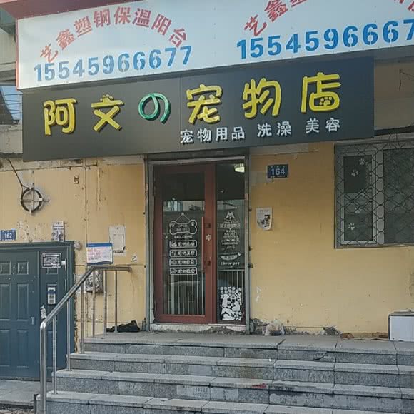 阿文の宠物店:哈尔滨市道里区新阳路附近