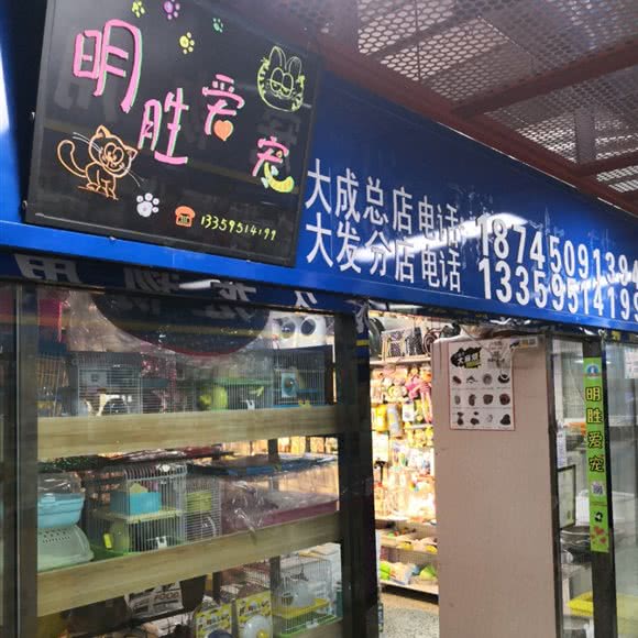名胜宠物(大发店):哈尔滨市道里区新阳路附近