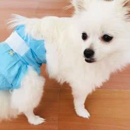 欣俏宠物美容生活馆:哈尔滨市道里区新阳路附近