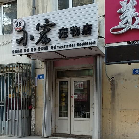 小宏宠物店:哈尔滨市道里区新阳路附近