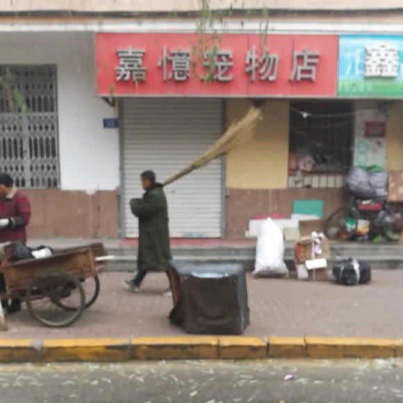 嘉憶宠物店:哈尔滨市道里区新阳路附近