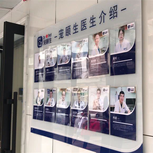 宠颐生宠福旺动物医院:哈尔滨市道里区新阳路附近