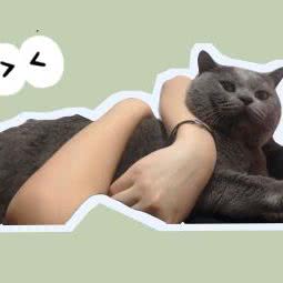 北爱动物医院(道里店):哈尔滨市道里区新阳路附近