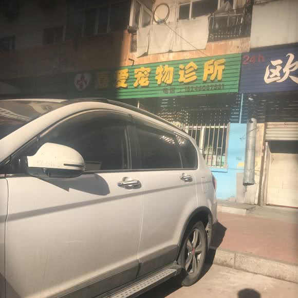 嘉爱宠物诊所:哈尔滨市道里区新阳路附近