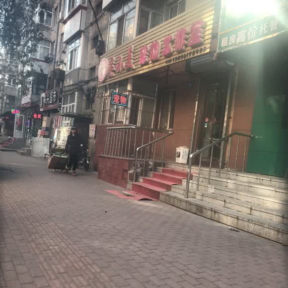 吴小美宠物工作室:哈尔滨市道里区爱建社区附近