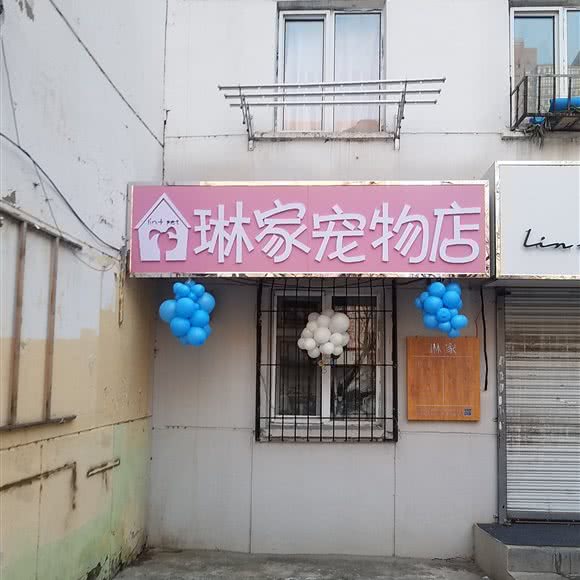 琳家宠物店:哈尔滨市道里区爱建社区附近