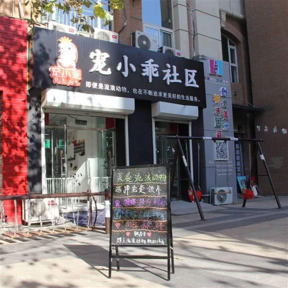 宠小乖社区:北京城区丰台区草桥/公益西桥附近