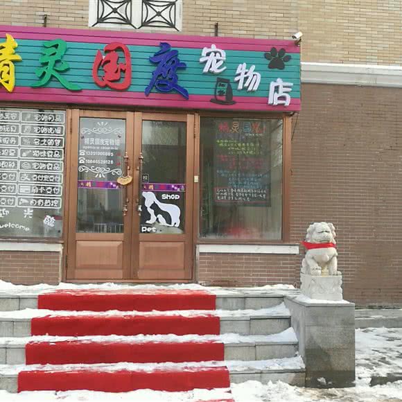 精灵国度宠物店(道里店):哈尔滨市道里区顾乡附近