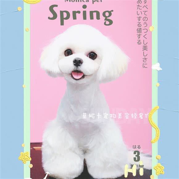 Monica pet 莫妮卡宠物美容轻奢馆:哈尔滨市道里区顾乡附近