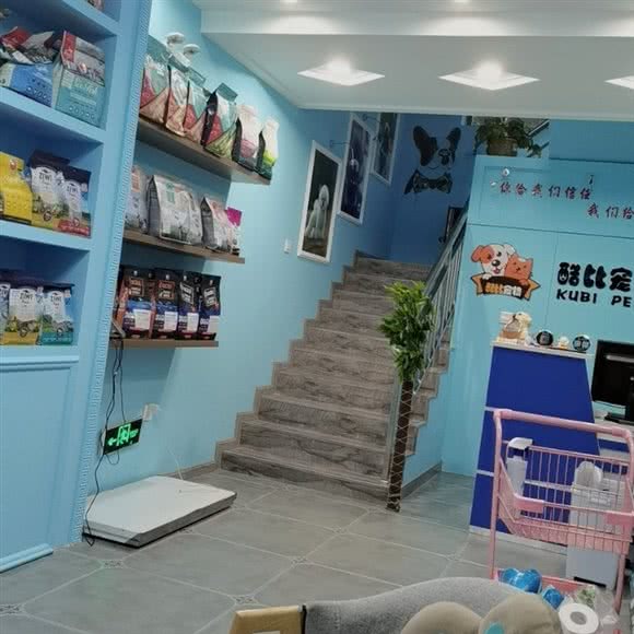 酷比宠物诊所:哈尔滨市道里区顾乡附近