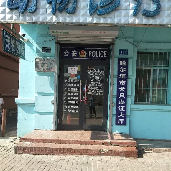 动物诊疗中心(康安路店):哈尔滨市道里区顾乡附近