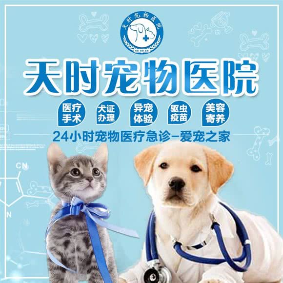 天时宠物医院24h·犬证办理:哈尔滨市道里区顾乡附近