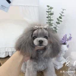 佐美宠艺:哈尔滨市道里区群力地区附近