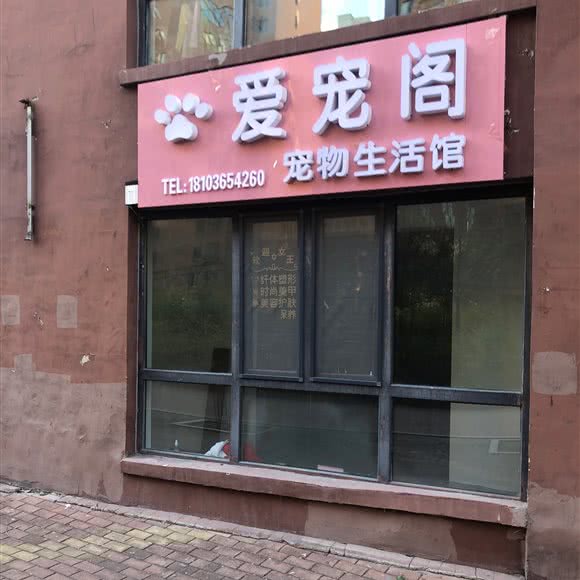 爱宠阁:哈尔滨市道里区群力地区附近