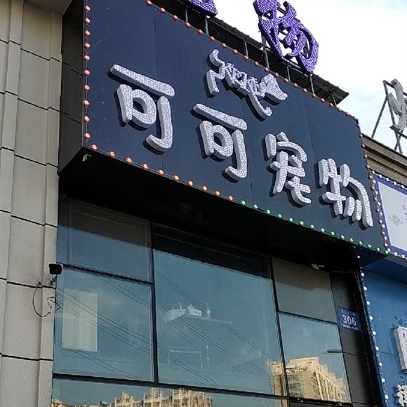 可可宠物:哈尔滨市道里区群力地区附近