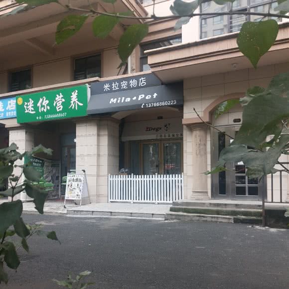 米拉咖啡店:哈尔滨市道里区群力地区附近
