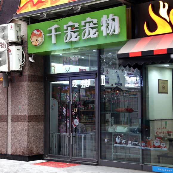 千宠宠物:哈尔滨市道里区群力地区附近