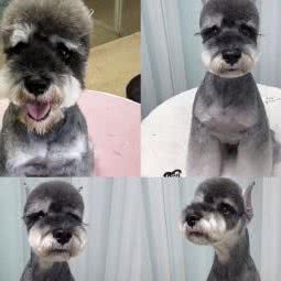 宠它宠物生活会馆:哈尔滨市道里区群力地区附近