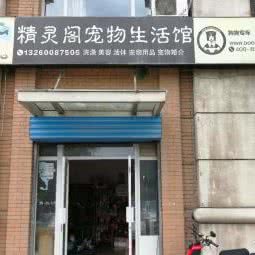 精灵阁宠物生活馆:北京城区丰台区草桥/公益西桥附近
