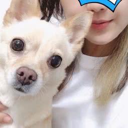 浅得宠艺Pet House:哈尔滨市道里区群力地区附近