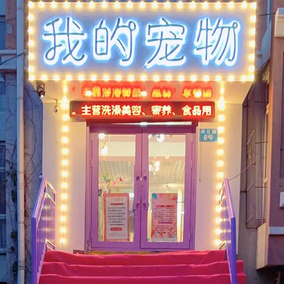 我的宠物店:哈尔滨市道里区群力地区附近