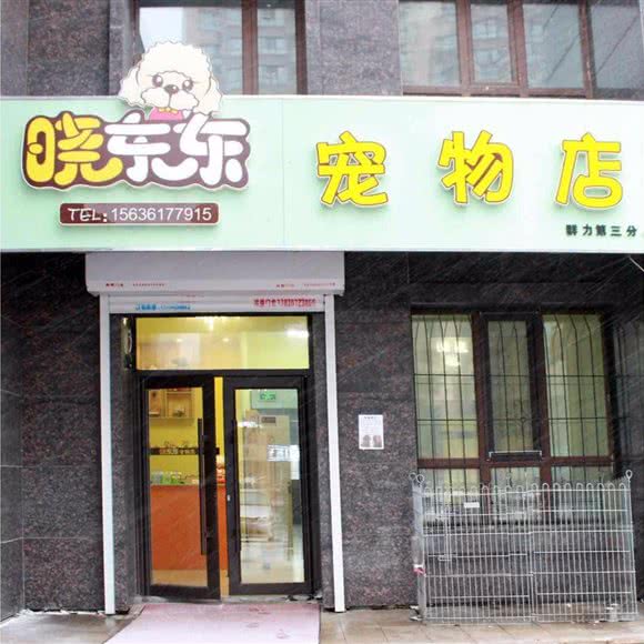 晓东东宠物店(群力家园店):哈尔滨市道里区群力地区附近
