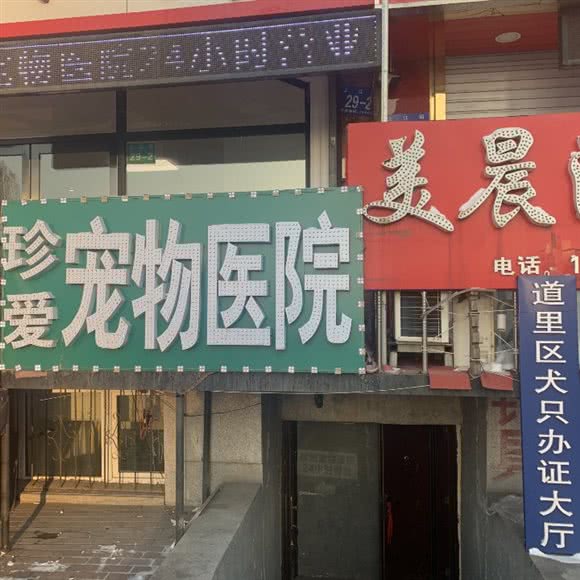 珍爱宠物医院:哈尔滨市道里区群力地区附近