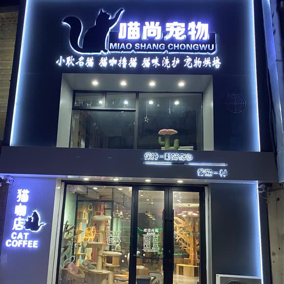 喵尚宠物猫咖店:哈尔滨市道里区关东古巷附近